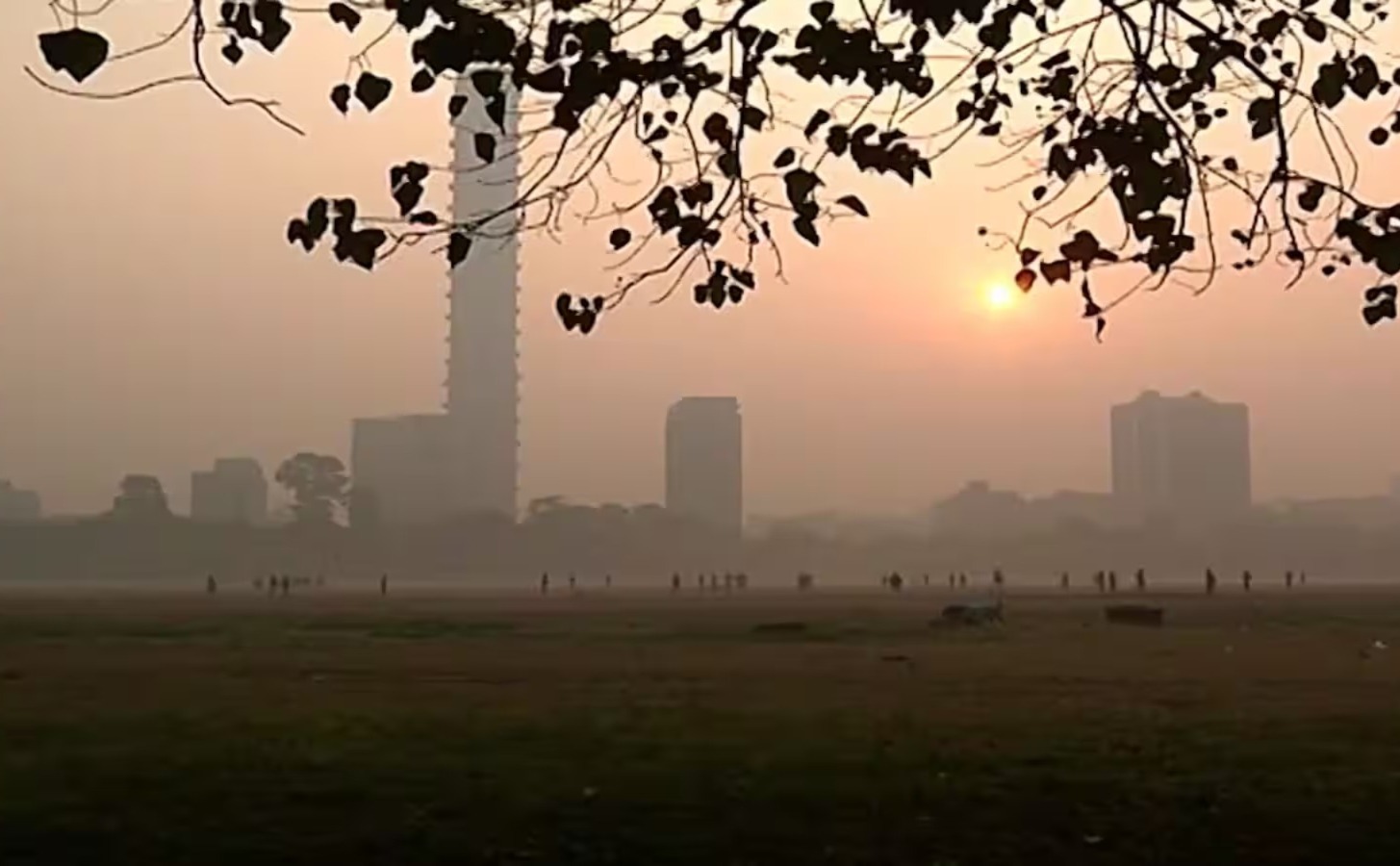 মাঘের শুরুতেই বোল্ড আউট ঠান্ডা, কলকাতায় শেষ শীতের ইনিংস