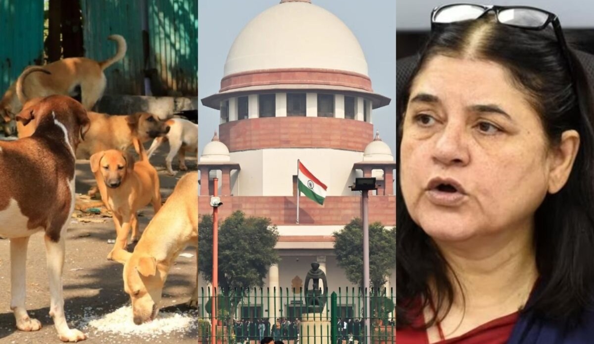 ‘আপত্তিকর মন্তব্য’, পথকুকুর মামলায় সুপ্রিম ভর্ৎসনা ‘পশুপ্রেমী’ মেনকা গান্ধীকে