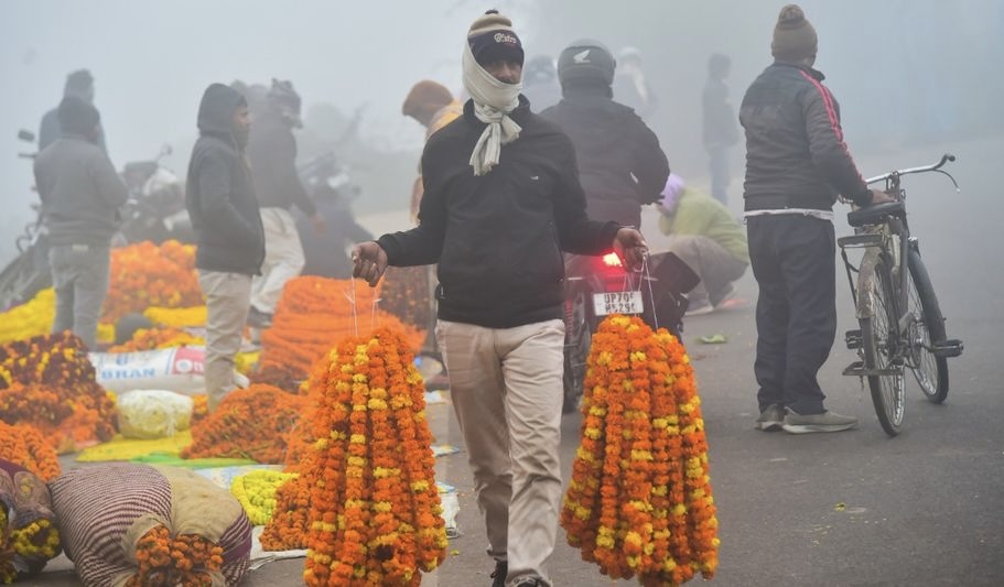 প্রজাতন্ত্র দিবসে কলকাতায় উধাও শীত, ঘন কুয়াশার সতর্কবার্তা উত্তরবঙ্গে