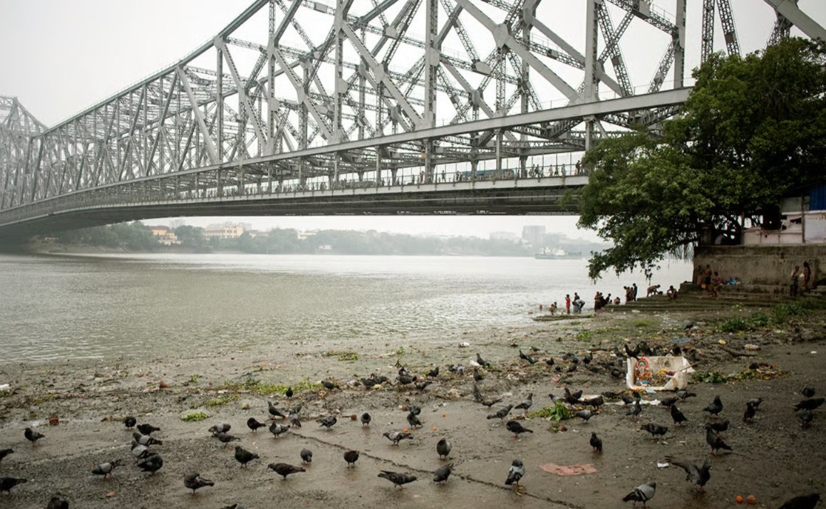 ফেব্রুয়ারির প্রথম দিন বিদায়বেলায় শীতের প্রত্যাবর্তন!