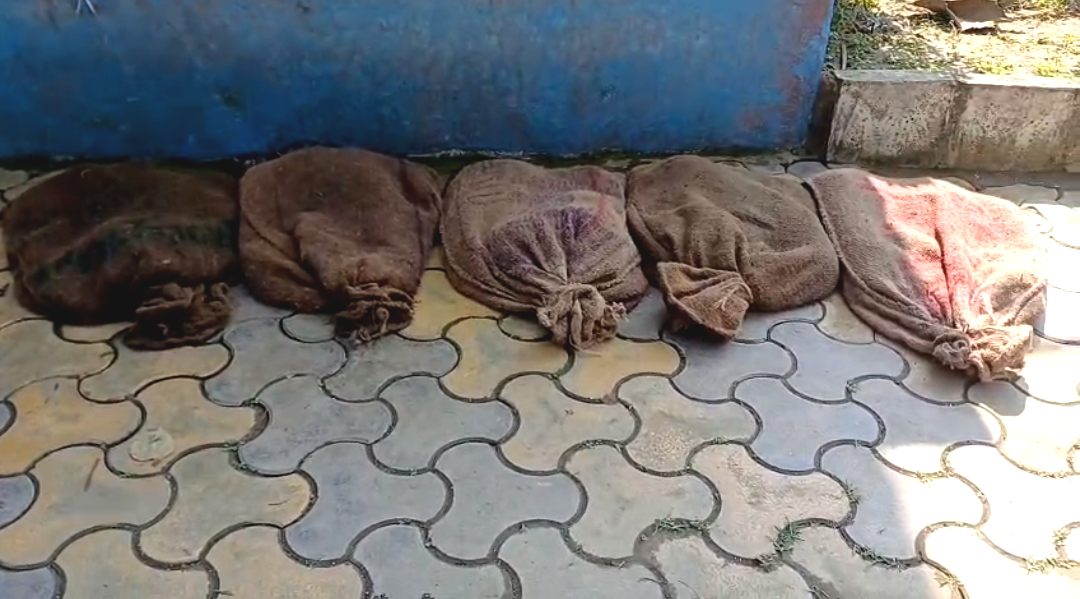 মুসলিম হয়েও বস্তা বস্তা কচ্ছপ পাচার , চোখ কপালে পুলিশের