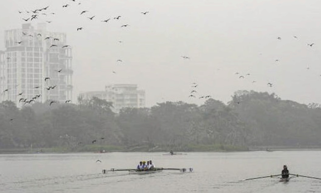 বসন্ত এসে গেছে! হাওয়া বদল কলকাতায়