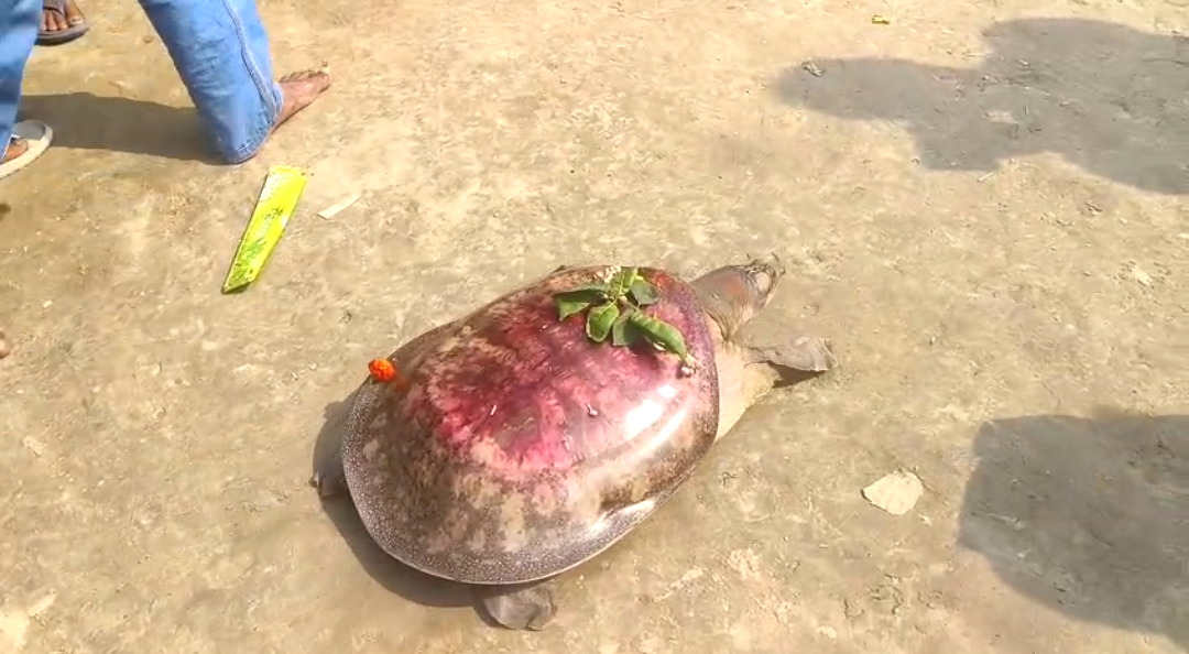 এলাকা থেকে বিদায় নিলেন বিষ্ণুর অবতর , চোখে জল গোটা গ্রামবাসীর