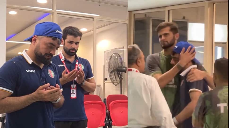 এশিয়া কাপের প্রাক্কালে রশিদ পরিবারে দুঃসংবাদ, দাদাকে হারিয়ে শোকস্তব্ধ আফাগান স্পিনার