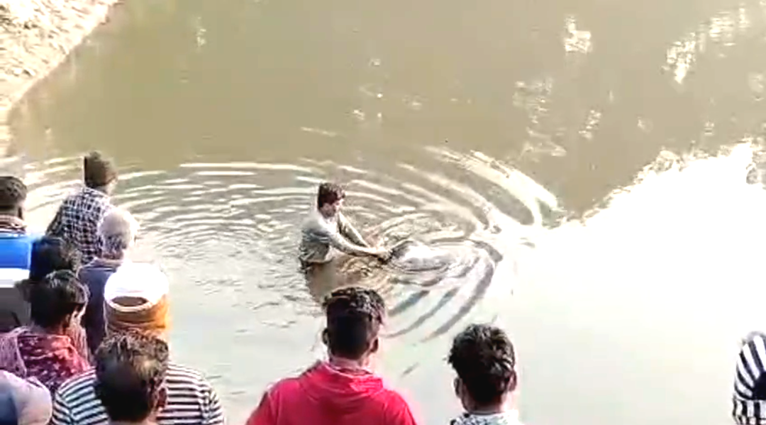 জমি বিবাদের জেরে দাদাকে পরিকল্পনা করে খুন , অভিযোগ ভাইয়ের বিরুদ্ধে