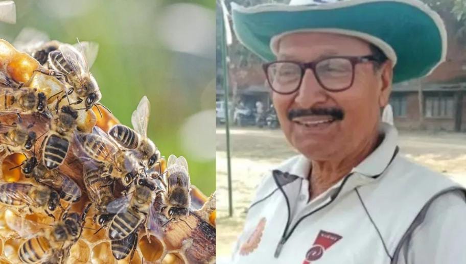 বিশ্বকাপ চলাকালীন বিরাট দুঃসংবাদ , দেশের মাটিতে মৌমাছির হানায় মৃত ১ আম্পায়ার