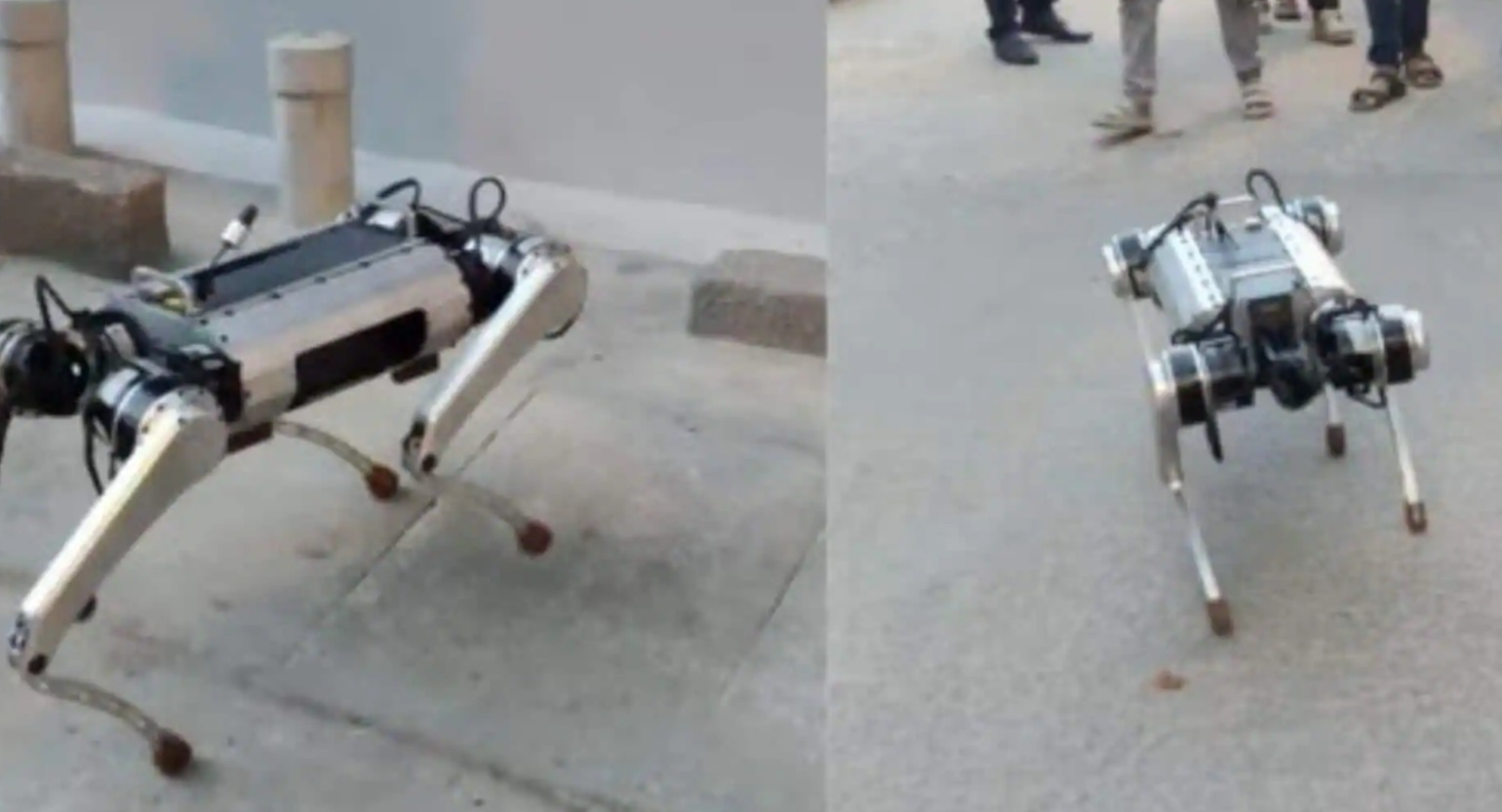 চীনা রোবট কুকুর কাণ্ডের মাঝে শিরোনামে বেঙ্গালুরুর সংস্থা, দেশীয় প্রযুক্তিতে তৈরি ‘রোবোডগ’