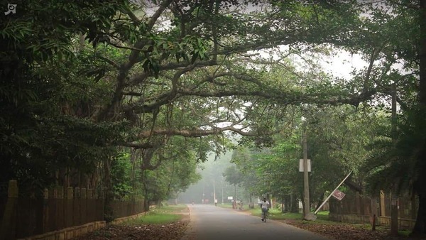 উত্তরে কুয়াশার দাপট, দক্ষিণবঙ্গে ঊর্ধ্বমুখী পারদ