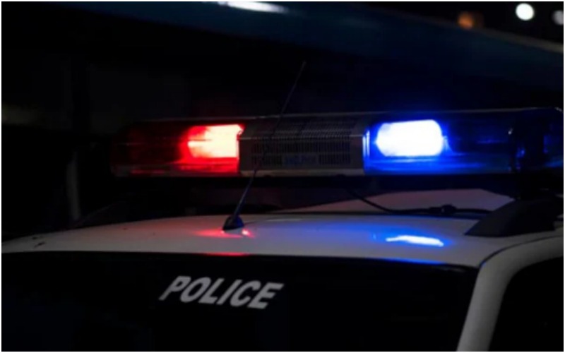 মদ কেনার টাকা না দেওয়ায় মাকে গুলি করে খুন , শেষে আত্মঘাতী ছেলে