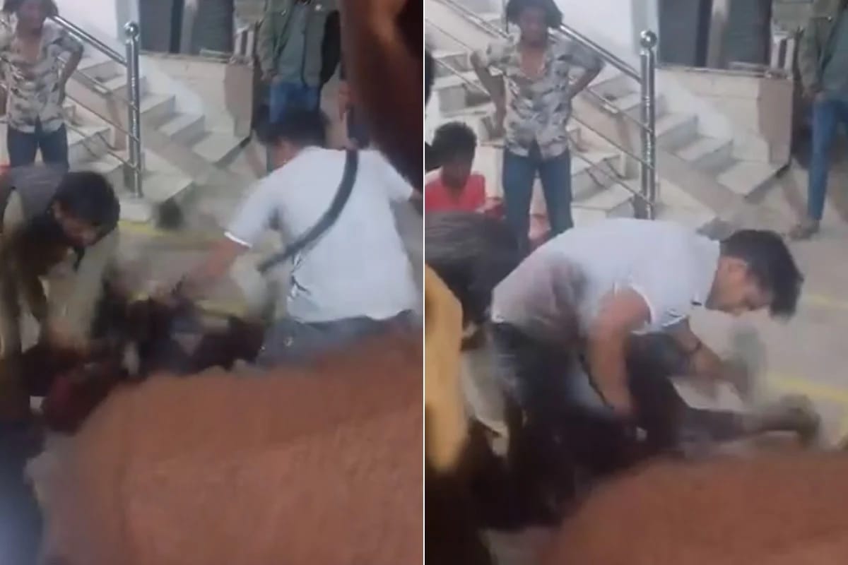 বাইক চুরির অপবাদে নাবালকদের ওপর নির্মম হামলা , বিজেপি নেতার বিরুদ্ধে বেধড়ক মারধরের অভিযোগ