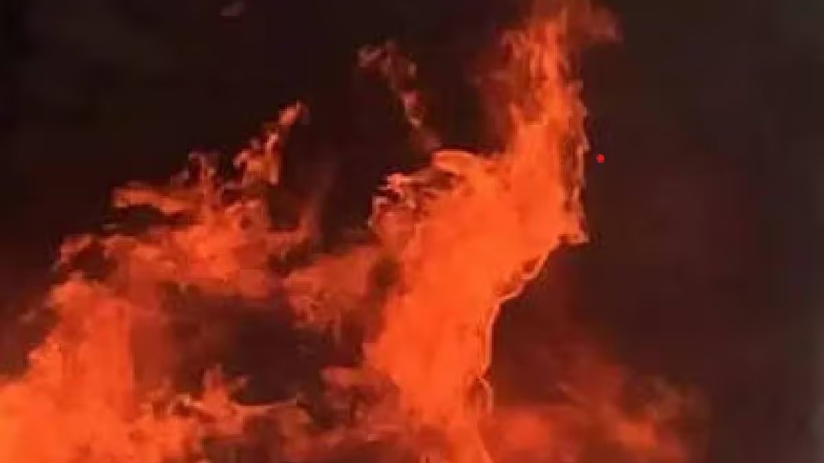 ভয়াবহ অগ্নিকাণ্ড বেলঘরিয়ার টেক্সম্যাকো কারখানায়, তীব্র চাঞ্চল্য এলাকায়