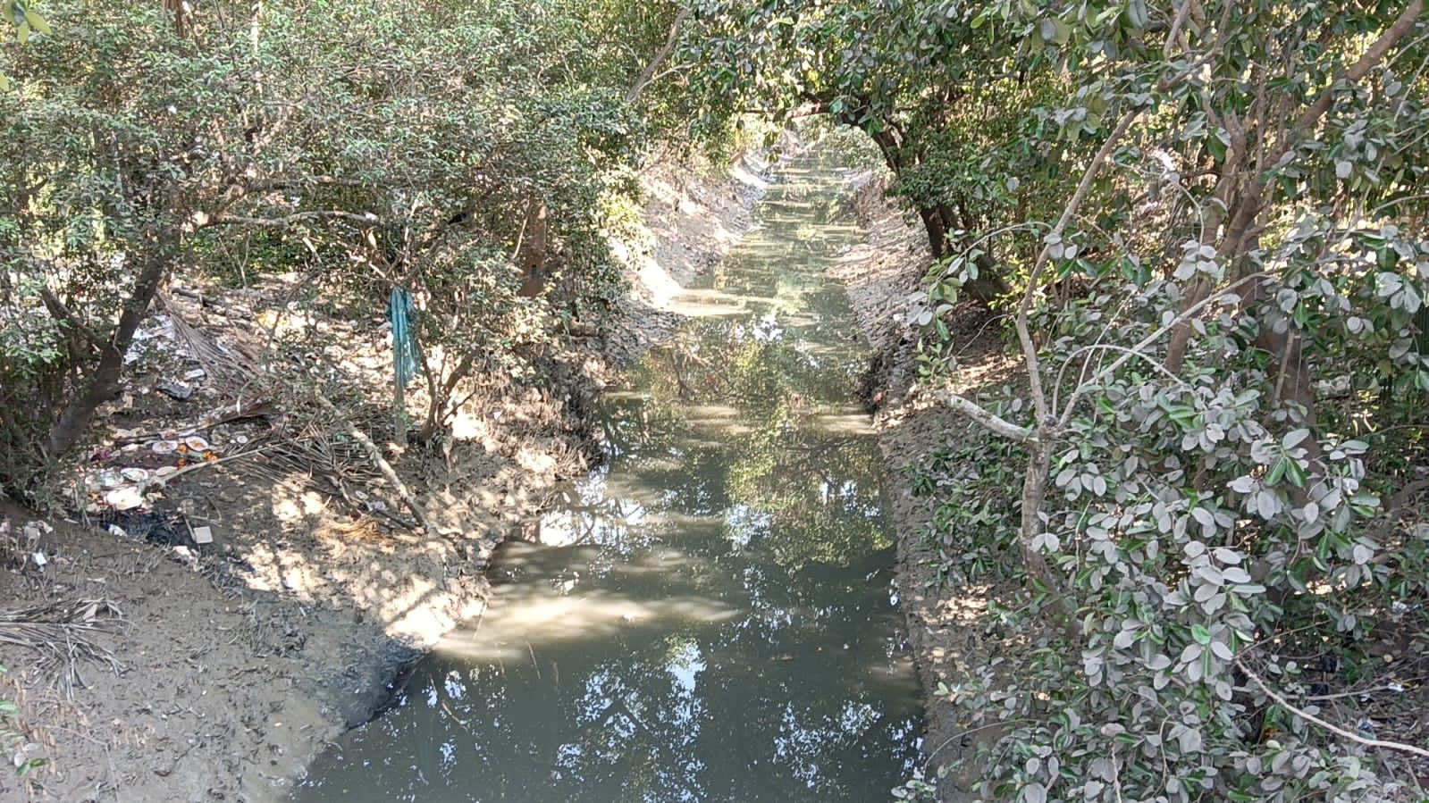 ময়লা-আবর্জনায় দুর্গন্ধে টেকা দায়, ভয়াবহ দূষণ কাকদ্বীপের কালনাগিনী নদীতে