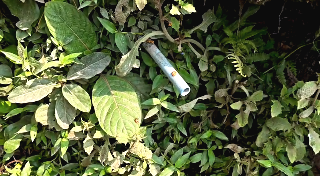 পানীয় জল না পেয়ে বিক্ষোভ গ্রামবাসীর , পঞ্চায়েতের বিরুদ্ধে ক্ষোভে ফেটে পড়ল মিঞাপুর