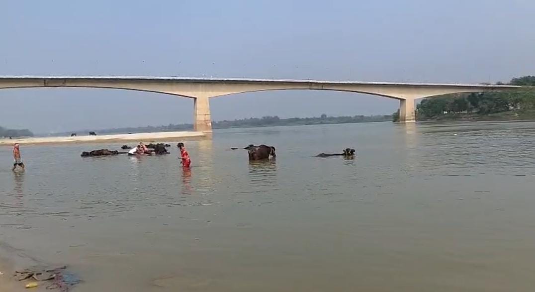 ভক্তদের দিকে নজর নেই গৌরাঙ্গ মহাপ্রভুর , মায়াপুর ইসকনে এসে মর্মান্তিক মৃত্যু পুণ্যার্থীর