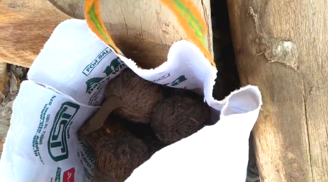 নির্বাচনের আগে উত্তপ্ত ফরাক্কা , শিবনগরের আম-বাগান থেকে উদ্ধার ১৫টি বোমা