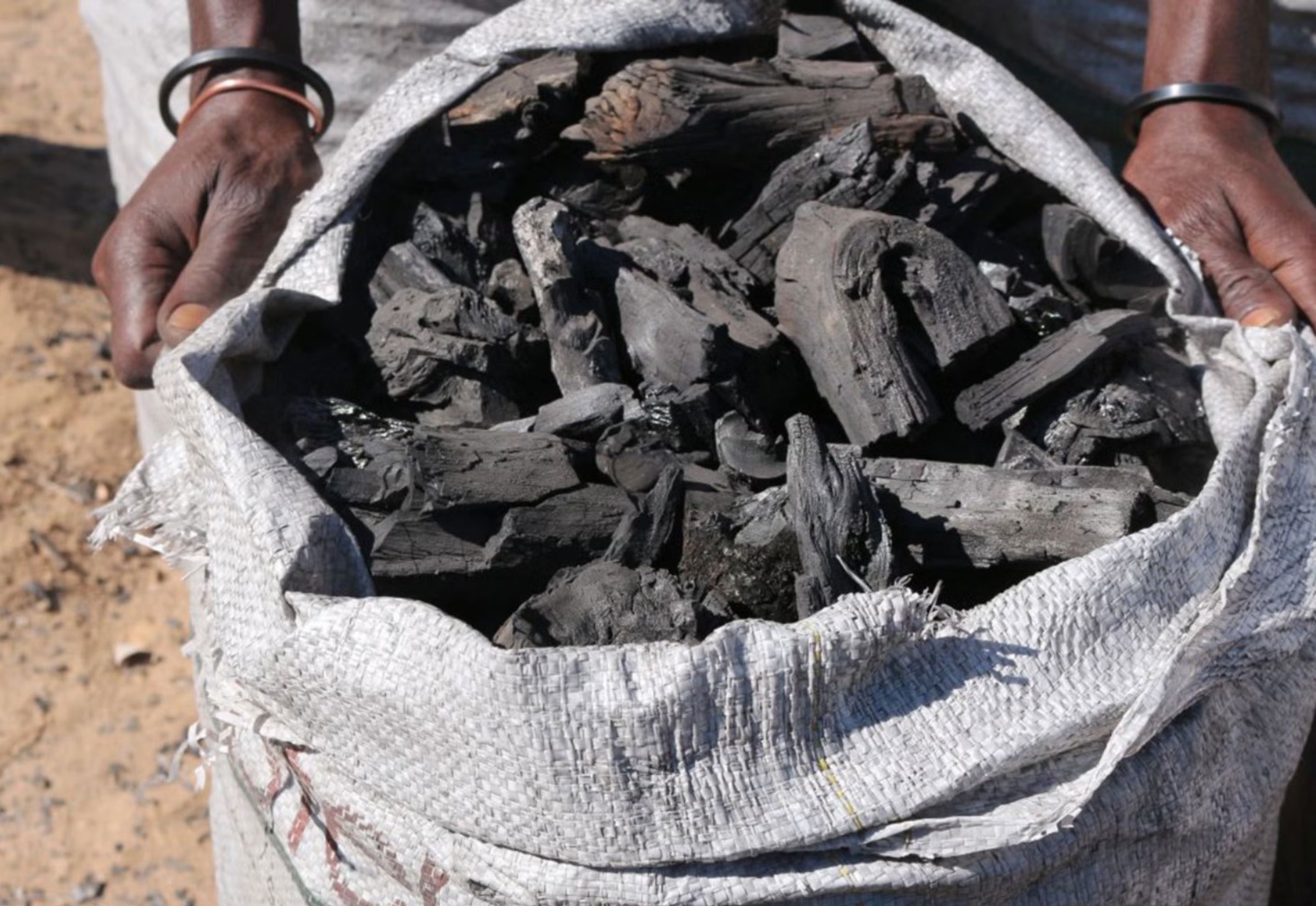 যুদ্ধের দাবানলে বিশ্বজুড়ে সঙ্কটে জ্বালানি, কাঠ-কয়লার চাহিদা তুঙ্গে