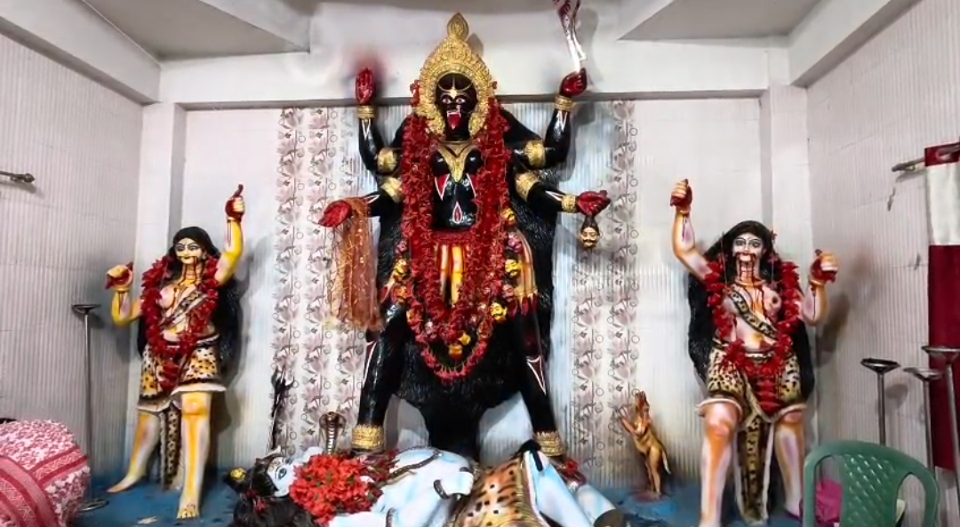 ২৩২ বছরের ঐতিহ্য! বড় গোপালপুর কালিরহাটে মা ভদ্রকালীর পুজোয় লক্ষাধিক ভক্তের ঢল