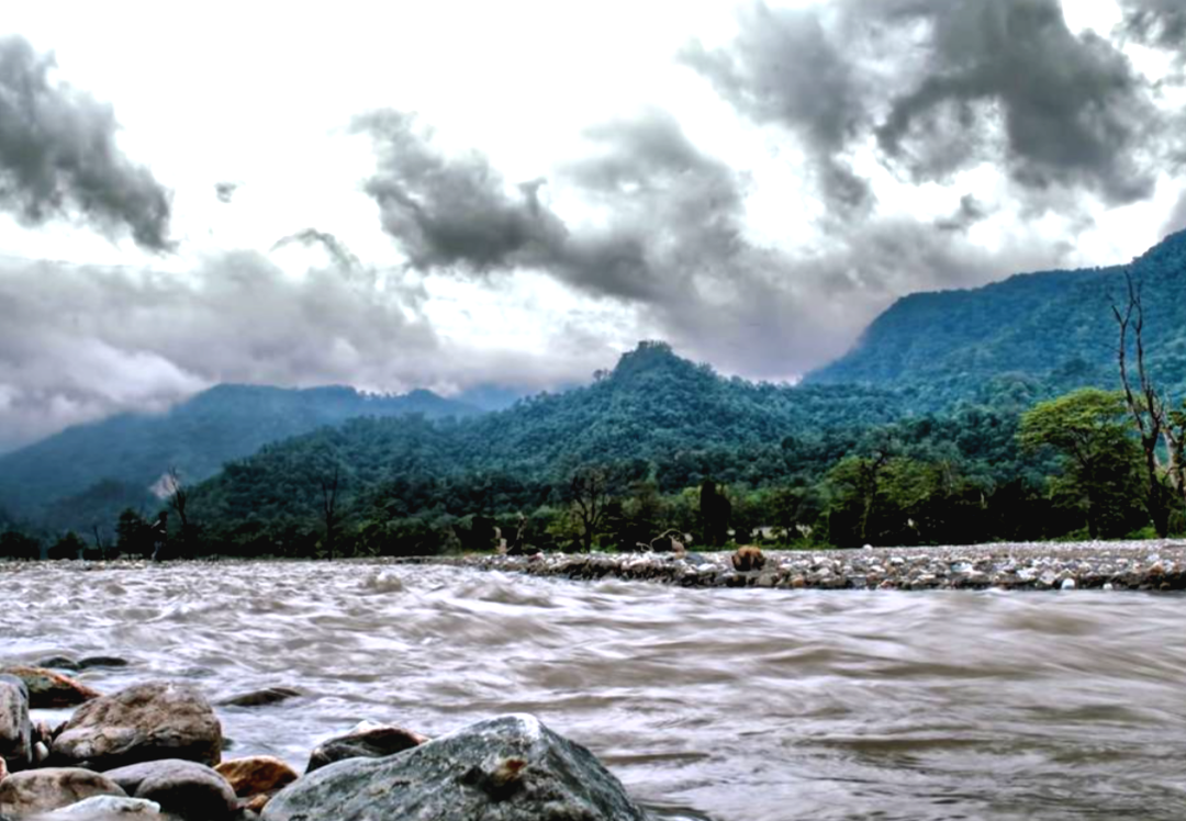 ফাল্গুনের শেষেই কালবৈশাখীর তাণ্ডব ডুয়ার্সে! ঝড়ের দাপটে কার্যত লণ্ডভণ্ড বানারহাট