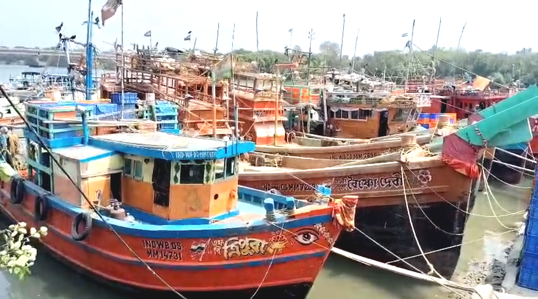 যুদ্ধের প্রভাব কী এবার দেখা যাবে মাছ বাজারেও? গ্যাস সংকটে সমুদ্রে যাওয়া অনিশ্চিত হল কয়েকশো মৎস্যজীবী ট্রলারের