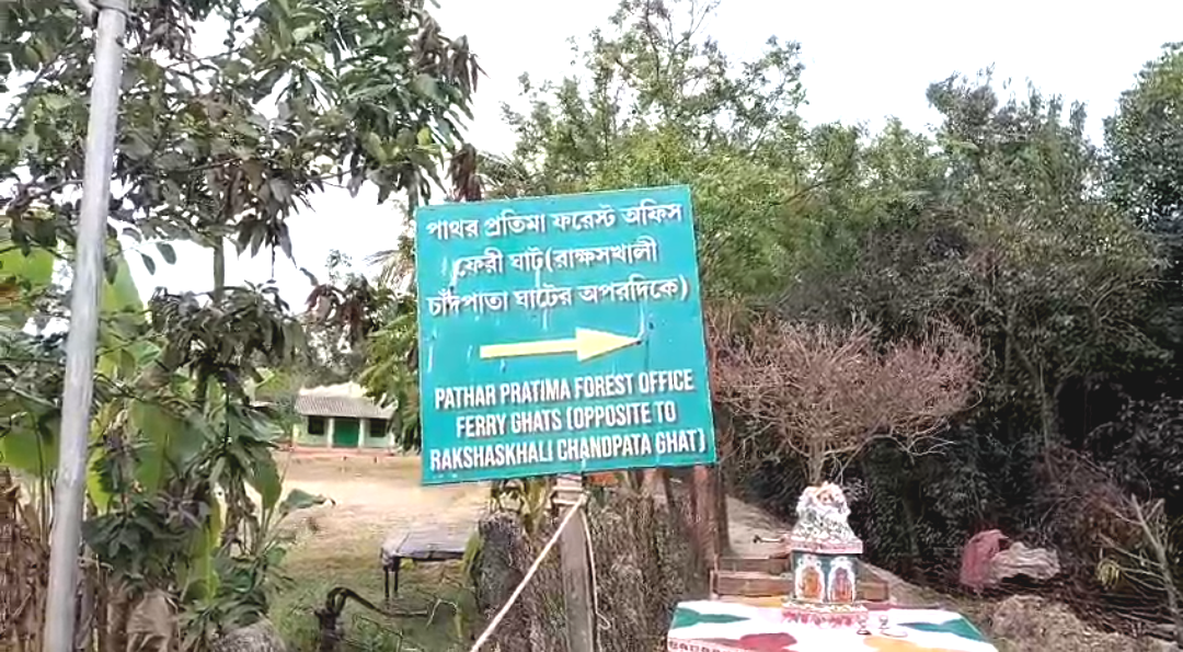 রাতের অন্ধকারে ম্যানগ্রোভ নিধন! পাথরপ্রতিমায় প্রশাসনের হস্তক্ষেপে বন্ধ মাটি ভরাটের কাজ