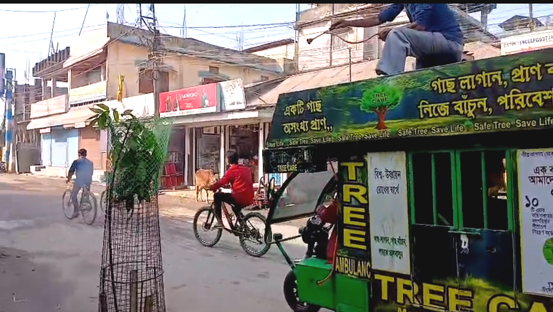 সবুজ বাঁচাতে অভিনব অভিযান! ঝড়ে ক্ষতিগ্রস্তদের পাশে ট্রী কেয়ার ইউনিটের 'ট্রী অ্যাম্বুলেন্স'