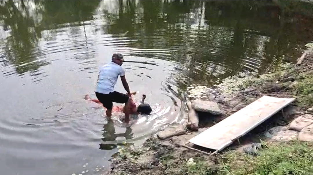 সরকারি ফিশারির জলে বৃদ্ধার ভাসমান দেহ! সাত সকালে শান্তিপুরে ব্যাপক চাঞ্চল্য