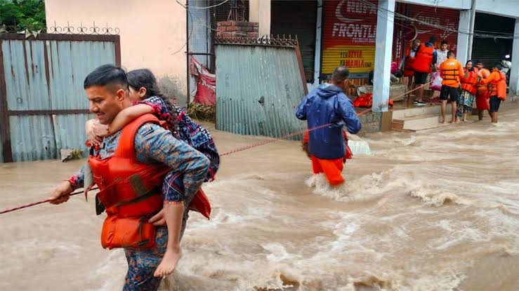 বন্যায় বিধবস্ত পাঞ্জাব, উদ্ধারকাজে ৩ বাহিনী