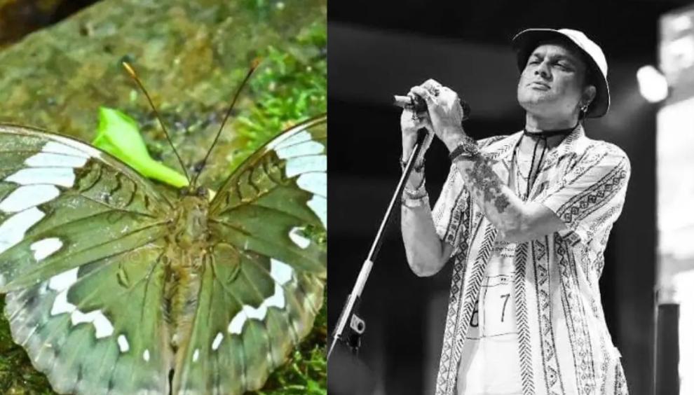 প্রয়াত গায়ককে বিশেষ শ্রদ্ধা , বিরল প্রজাতির প্রজাপতির নামকরণ জুবিনের নামে