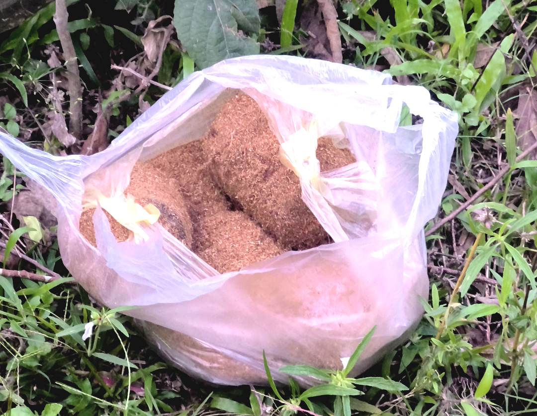 নির্বাচনের আগে উত্তপ্ত দিনহাটা, পরিত্যক্ত বাগানবাড়ি থেকে উদ্ধার ৫টি তাজা বোমা