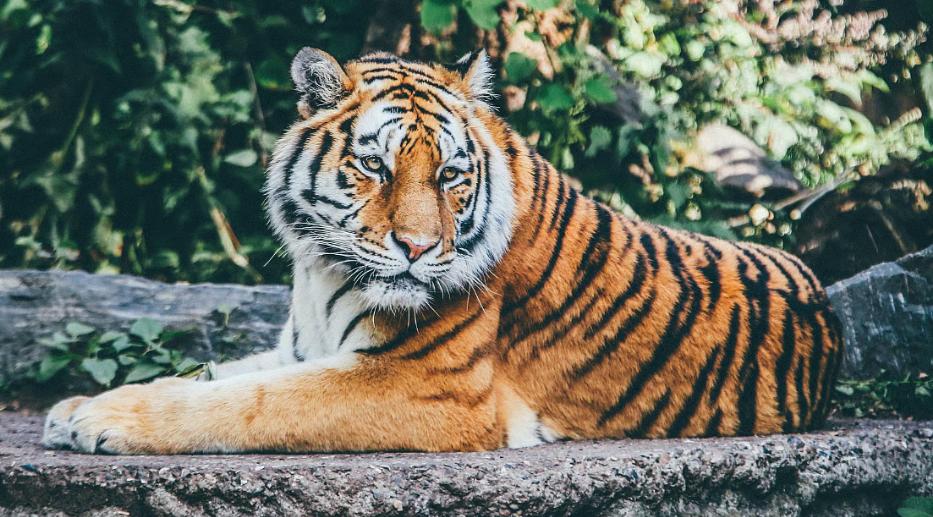 69cd28ddf2e7a_IMG-20260401-WA0074