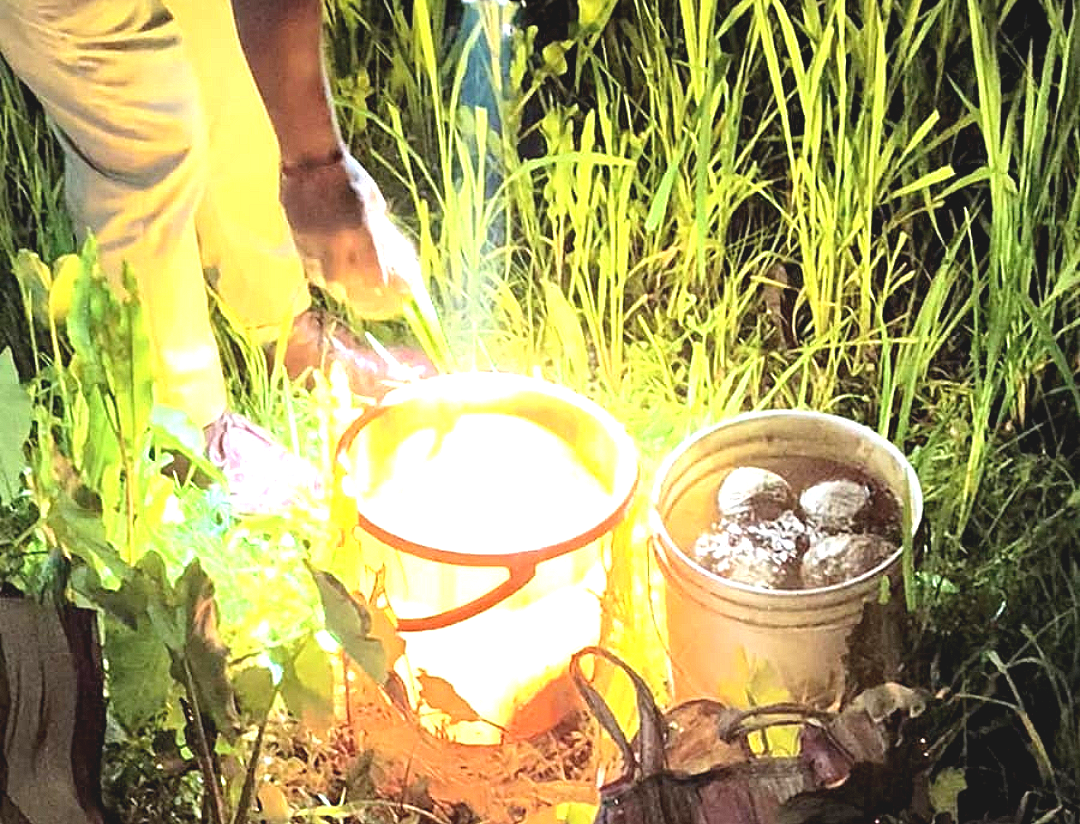 ভোটের মুখে উত্তপ্ত সিতাই, ২১টি বোমা উদ্ধার ঘিরে ছড়াল আতঙ্ক