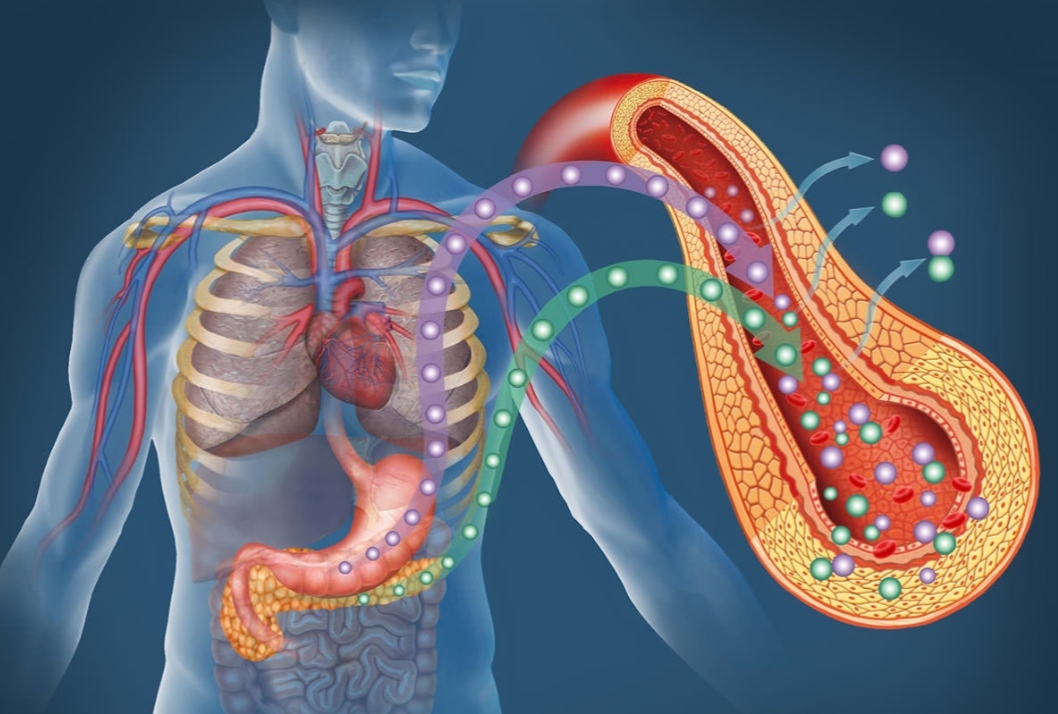 রক্তে শর্করা বাড়লেই কি প্রিডায়াবেটিস ? চিকিৎসকের মন্তব্যে নতুন বিতর্ক