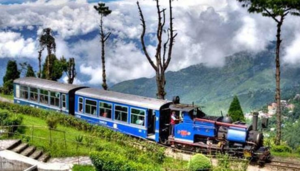 টয় ট্রেনে সানরাইজ ট্রিপ , পাইন বনের ট্রেকিংয়ে বাড়ছে নতুন আকর্ষণ