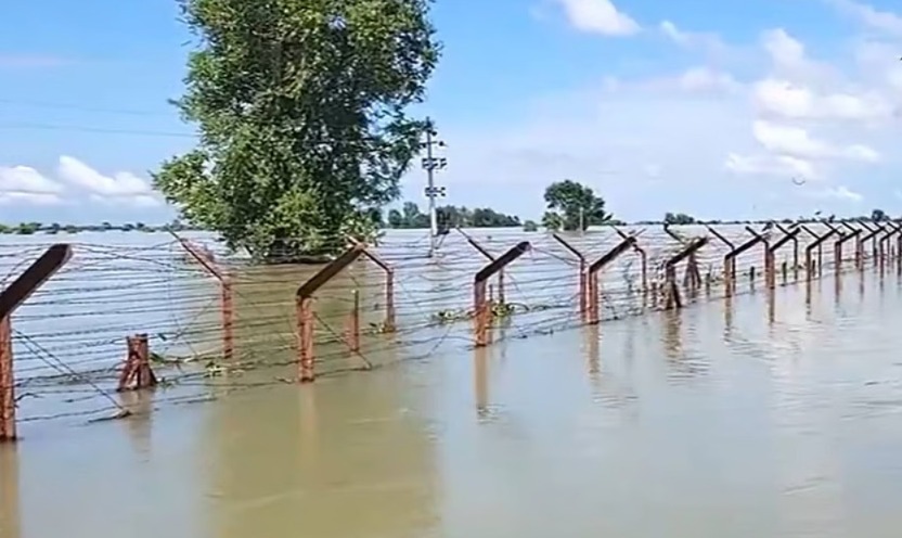 বন্যায় বিধ্বস্ত পাঞ্জাব, ভেসে গেল ভারত-পাক সীমান্তের কাঁটাতার