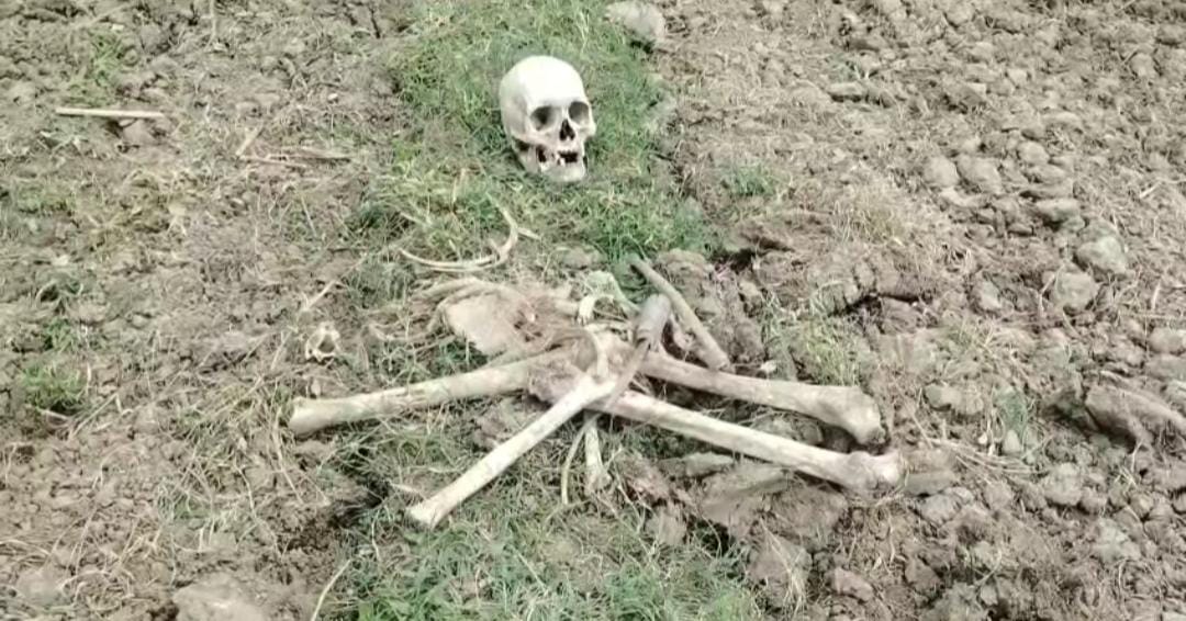 চাষের জমি থেকে উদ্ধার মানুষের দেহাংশ , চাঞ্চল্য সহ আতঙ্কে এলাকাবাসীরা