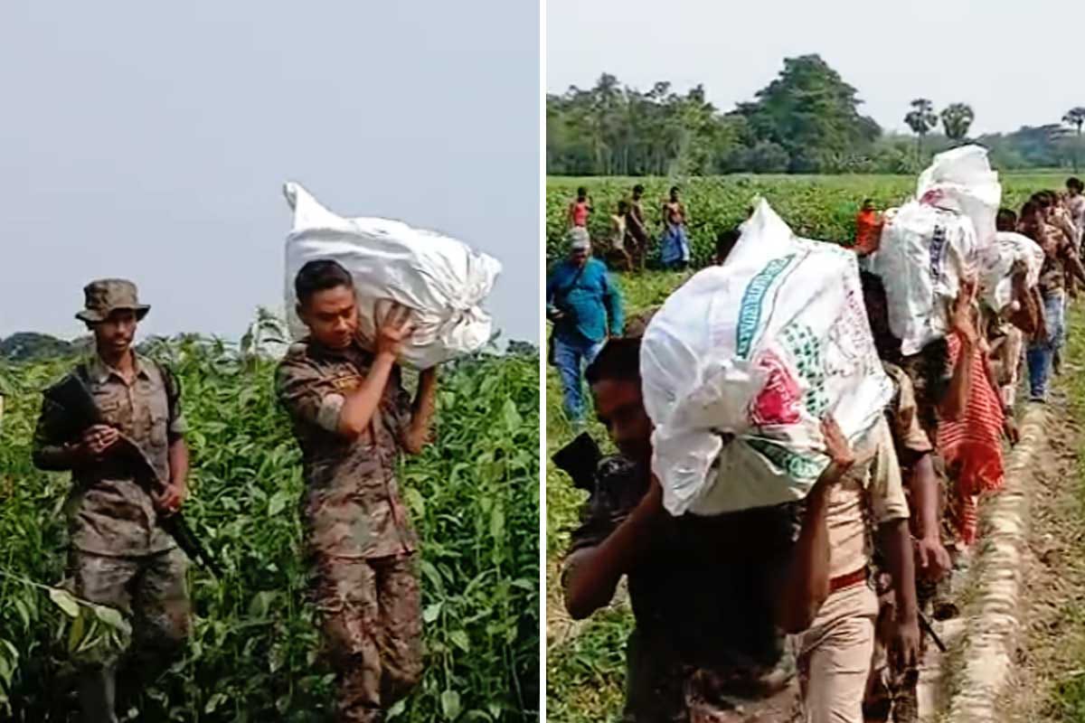 পাটখেত থেকে উদ্ধার বস্তা ভর্তি কোটি কোটি টাকা , তৃণমূল নেতার গুপ্তধন ঘিরে চাঞ্চল্য