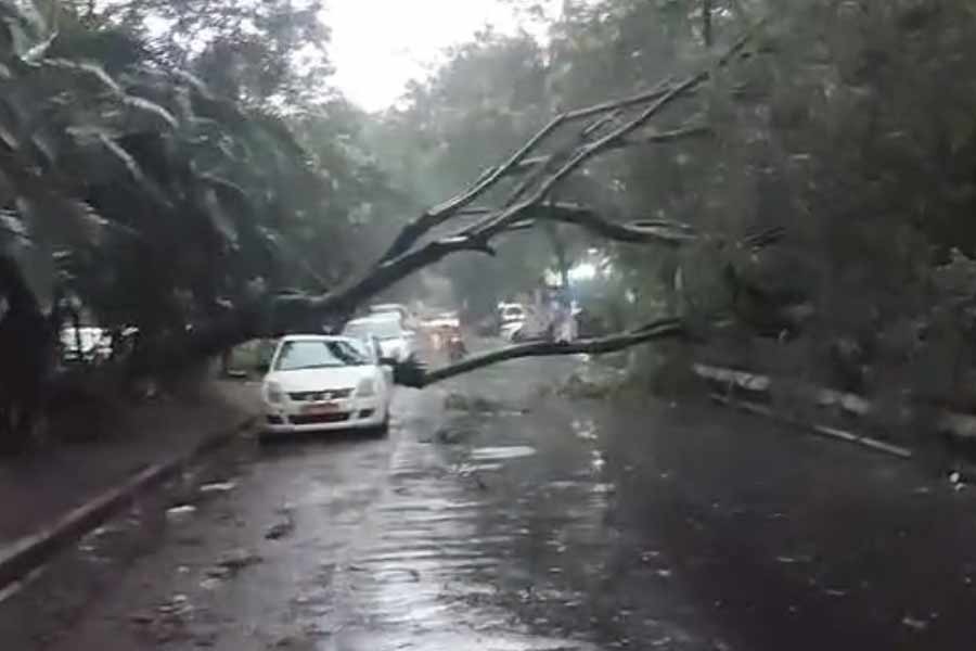 স্বস্তির বৃষ্টিতে তছনছ তিলোত্তমা , ঝড়ের জেরে কার্যত বন্ধ ট্রেন - মেট্রো - বিমান পরিষেবা
