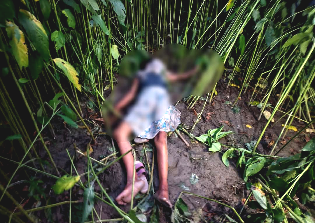 পাট ক্ষেতে উদ্ধার নাবালিকার দেহ! রহস্যমৃত্যু ঘিরে চাঞ্চল্য, তদন্তে নেমেছে পুলিশ