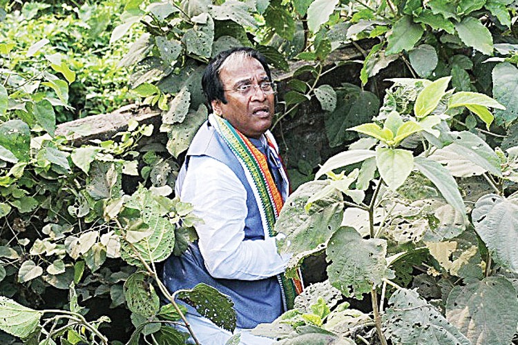 বাড়ি দখল মামলায় হাইকোর্টে জামিন জয়প্রকাশ মজুমদারের , কড়া শর্তে মিলল স্বস্তি