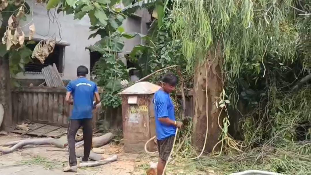 দিনের আলোয় বেআইনি ভাবে চলছে গাছ কাটা , প্রতিবাদে উত্তাল উত্তরপাড়া