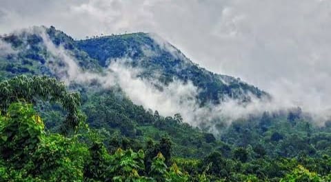 বর্ষায় মেঘ আর পাহাড়ের হাতছানি ! চেল নদীর পাশে ঘুরে আসুন পাপরখেতিতে