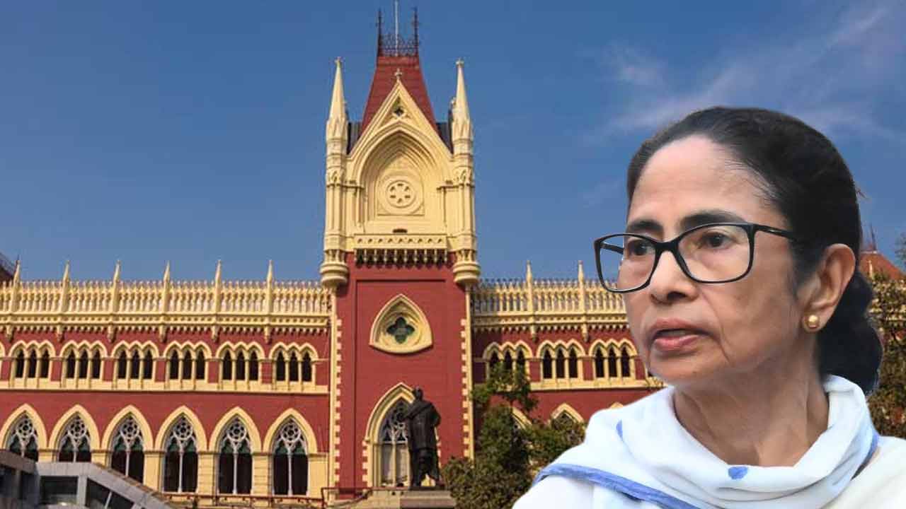 ভোটে ভরাডুবির পর বার কাউন্সিলে বাজিমাত , ২৩-এ ১৫ আসন জিতে ঘুরে দাঁড়ানোর ইঙ্গিত মমতা শিবিরের