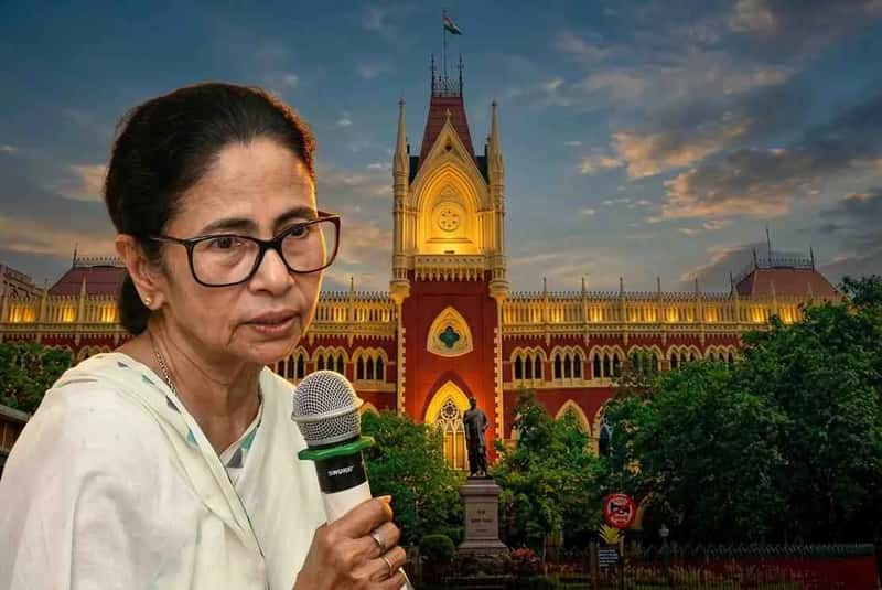 ফের হাইকোর্টে ধাক্কা কালীঘাট তৃণমূলের , ৮০৩ কোটির চারটি ব্যাঙ্ক অ্যাকাউন্ট খোলার আর্জি খারিজ আদালতের