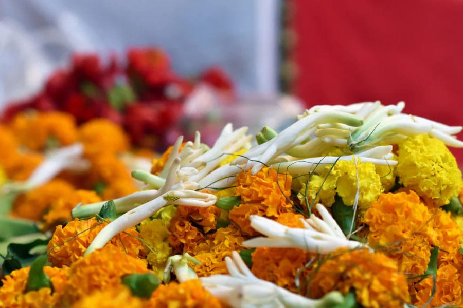 ভাদ্র মাসের অকাল বৃষ্টিতে মাথায় হাত , পুজোর দিকে মুখিয়ে ফুল বিক্রেতারা