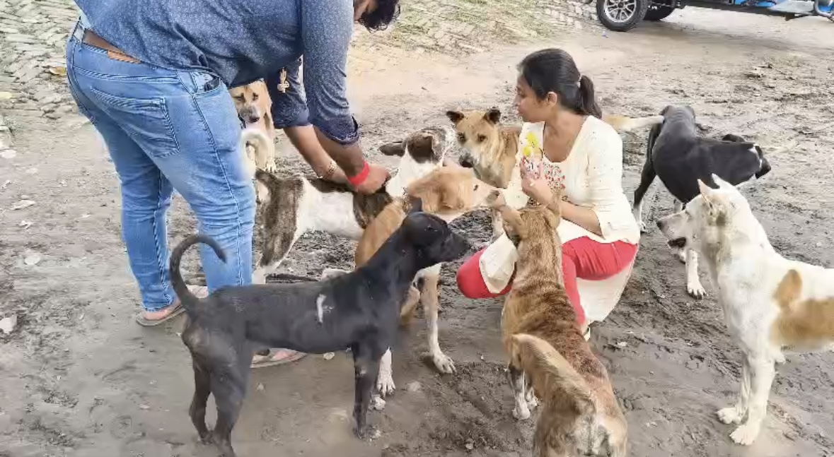 রাস্তায় পথকুকুরদের রেবিস ভ্যাকসিন, মানবিক নজিরে ডক্সার ফাউন্ডেশন