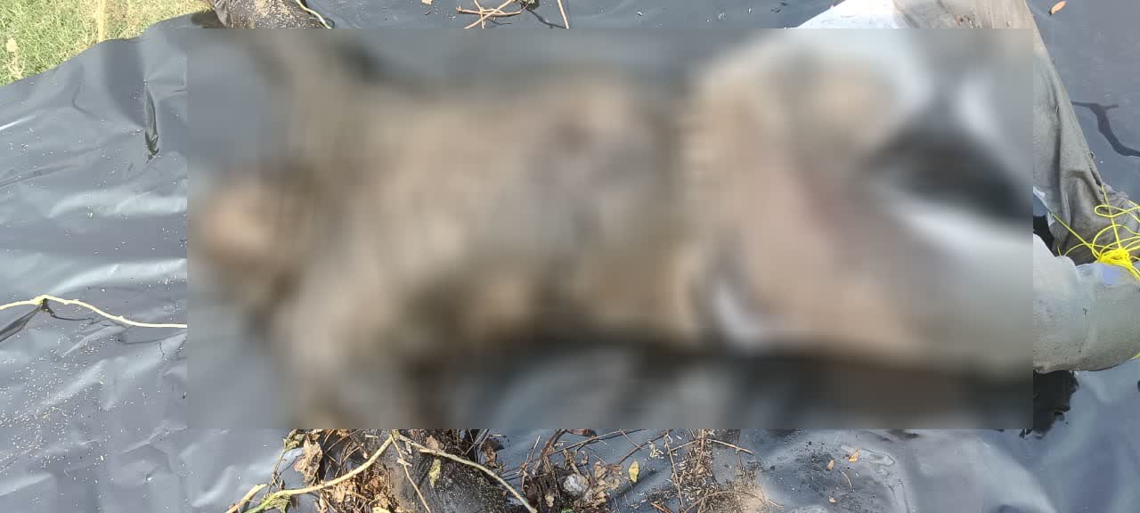 রাস্তায় গলাকাটা যুবকের দেহ উদ্ধার, চাঞ্চল্য বারুইপুরে
