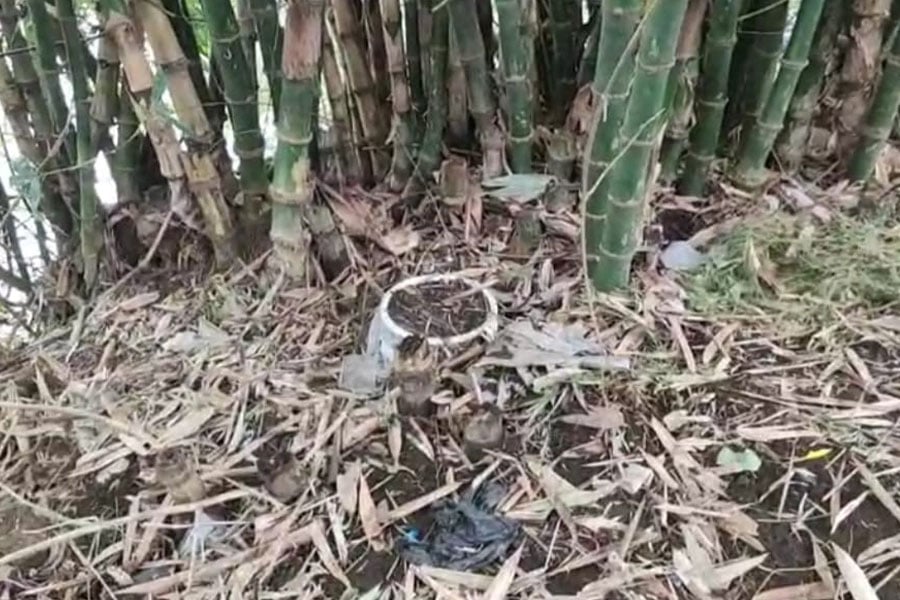 ডোমকলের পর রেজিনগরে বোমা বিস্ফোরণের ঘটনা , জখম ৩ জন