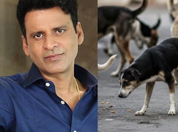 ওরা একটু সহানুভূতি দাবি করে , সুপ্রিম কোর্টের রায়ে পথ কুকুরদের পক্ষে মনোজ বাজপেয়ি