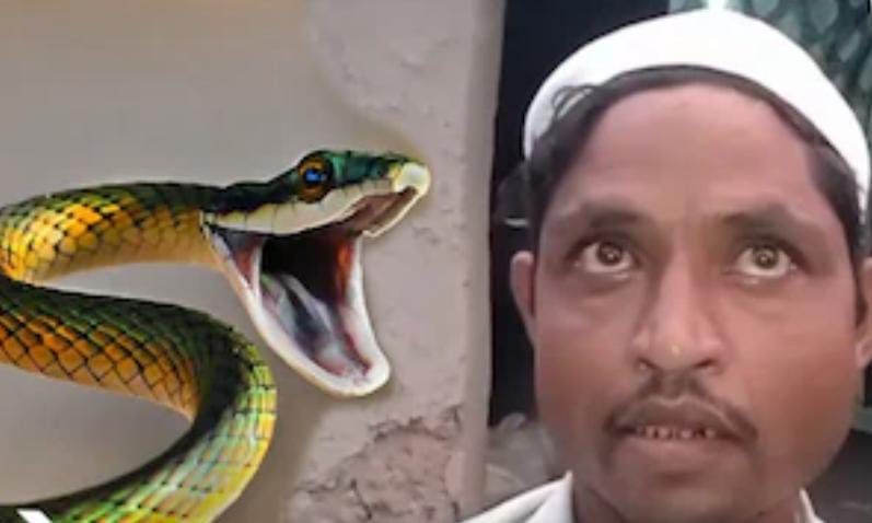 দিনে বউ , রাতে সাপ , সূর্যাস্ত হলেই ফণা তোলার অভিযোগ স্বামীর