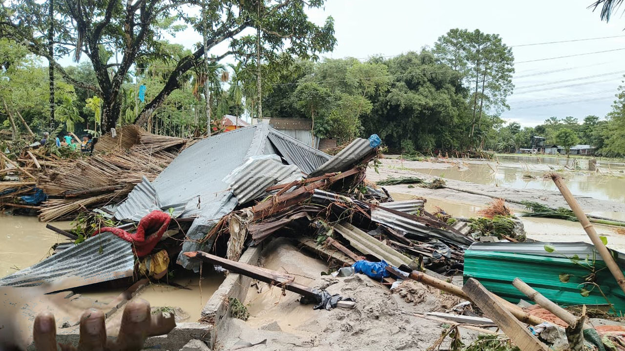 ধূপগুড়িতে বন্যার পর বন্যপ্রাণীর তাণ্ডব, বুনো শুয়োরের হামলায় আহত ৫